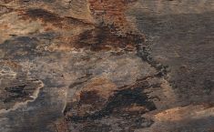 GAYAFORES ARDESIA Natural (40,8x66,2), (4 db/doboz = 1,08 m2)