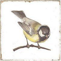 FABRESA FORLI Birds Decor Mix (20x20)